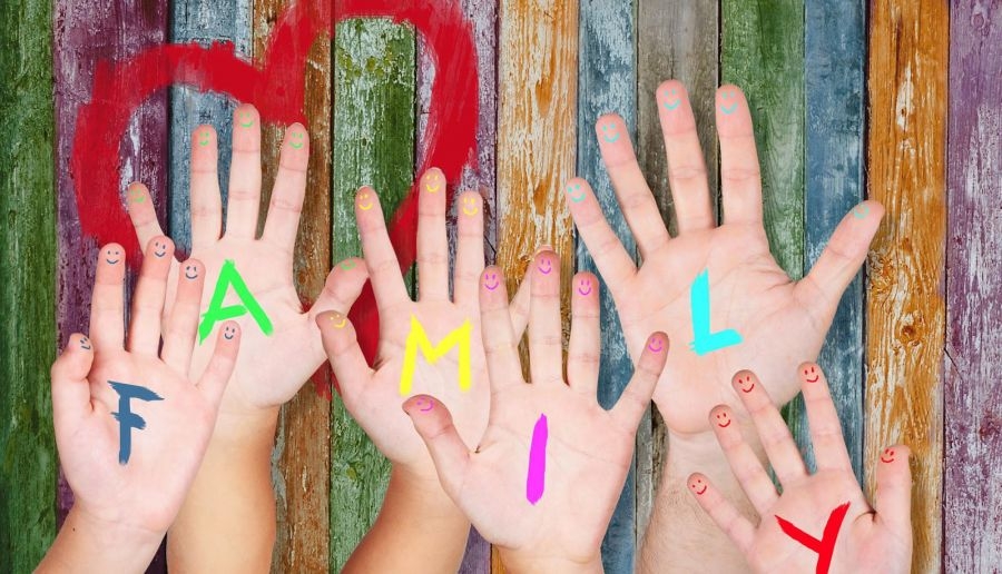 Rappresentazione visiva dell'articolo: LA “FAMIGLIA”: UNA, NESSUNA, CENTOMILA